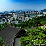 [국내여행] 달<b>마사</b>