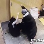 [속보] [단독]'배현진 습격' 중학생, 퇴학 안 당해 2학기 등교...