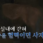 7년 만에 바깥세상에 나온 '바람이' 이야기