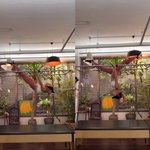 레드벨벳 예리, 레깅스만 입어도 완벽하네..필라테스로 가꾼 몸매