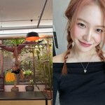 레드벨벳 예리, 놀라운 코어힘…이러다 360도 회전도 가능할 듯