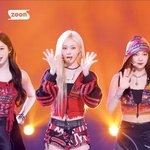 <b>윈터</b> <b>시구</b> 개아쉬움