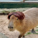 [댓글부탁해] 나 ㅆ상수라인좀 봐주라ㅜ