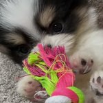 엑소 <b>에리</b> vs 방탄 아미 추반해보자