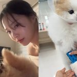 ‘박성광’ 이솔이, 반려견 심장병 의심에 “온몸 소름돋을 정도로...