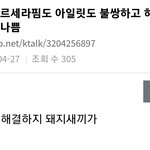 뉴진스팬인데 르세라핌팬들 들어와봐