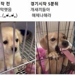 예<b>랑가</b>랑 조씨 아는사람
