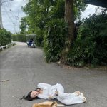 [조언부탁] 주현영, 길고양이와 길거리에 벌렁 누웠다…엉뚱 매력...