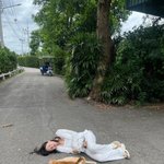 [조언부탁] 주현영 길바닥에 벌러덩 누운 여배우, 4차원 매력 폭발