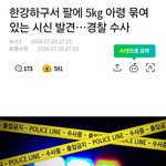 ㄷㄷ 무섭다 한강에서 ㅅㅊ 나왔는데