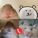 아 <b>양궁</b>볼걸