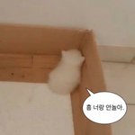 하이틴 영화 추천해줌