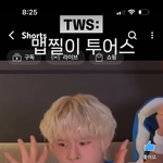 투어스 라이즈 궁금한거 있는데