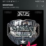 [스키즈] <b>첫콘</b> 가는 테이!!!!!!!