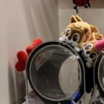 [이것좀봐줘] 제발 <b>롯월</b> 가신 분 중에 자기인거 같은 사람ㅜㅜ