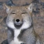 나 소신발언하면 일본 <b>우익</b> 애니 뭐 좋아하고