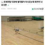 르세라핌 다큐에 별의별거 다나오는데 뭐까지 나오냐면 ...