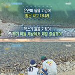 [언니네 <b>산지</b>직송] 안은진과 덱스의 입수 대결