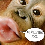손절한애한테 <b>연락옴</b>