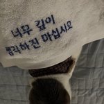 [댓글부탁해] <b>토끼</b>상 특징이머야?