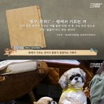 방에서 개를 기를 정도로 개를 좋아했던 <b>조선인</b>들