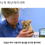 [댓글부탁해] <b>앞니</b> 두 개 난 아기사자