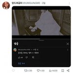 [모두드루와] 르세라핌 악플