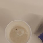 얼음정수기 바퀴벌래...