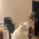 보고싶다
