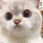 계속 보다보니
