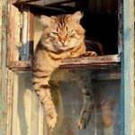 [방탄소년단] 오늘 <b>햇빛</b> 넘 강해