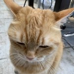 <b>체육</b>시간에 혼자있는데