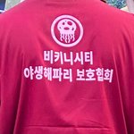 내 이상형 공통점 뭐인 것 같음?