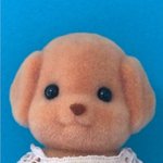 [드루와] 너네 연예인중에 이상형 있음?