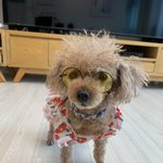 천원의 행복(<b>주인입장</b>)