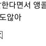 <b>엔믹스</b> 관련 진짜 공감가는 댓글
