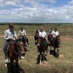 스웨덴 <b>틴</b><b>더</b> 극락이다