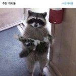 [댓글부탁해] 쌍수 3주차인데