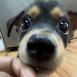 빨리 <b>수학</b>과외하고싶다