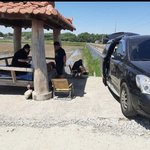 [개념상실] 정자<b>수난</b>시대