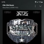 [스키즈] <b>용복</b>이 롤라팔루자에서