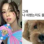 [댓글부탁해] 한소희, <b>여전</b>한 '짤' 사랑…"나 쉬했는지도 몰라"