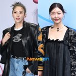 “<b>노산</b>, 시험관 시술 쉽지 않아” 손담비→레이디제인 온몸 멍투성이+9㎏...