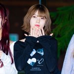 유니스 코토코, 행사 중 실신 ‘쿵’..소속사 “무대 중단→병원...