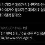 개큰<b>동의</b>