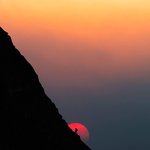 For <b>all</b> the lone wolves