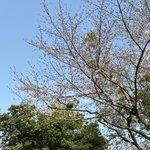 이게 <b>무례</b>한거임?