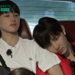 내 <b>최차</b>애