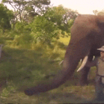 얘들아 너네 주변에 <b>무쌍</b> 별로 없어??