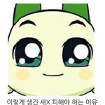 <b>감자</b>에